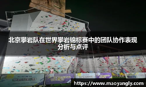 北京攀岩队在世界攀岩锦标赛中的团队协作表现分析与点评