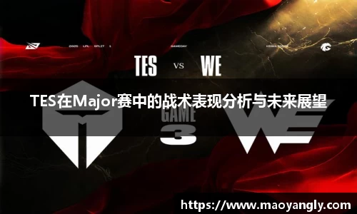 TES在Major赛中的战术表现分析与未来展望