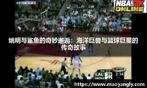 必一体育
