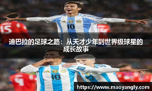 必一体育